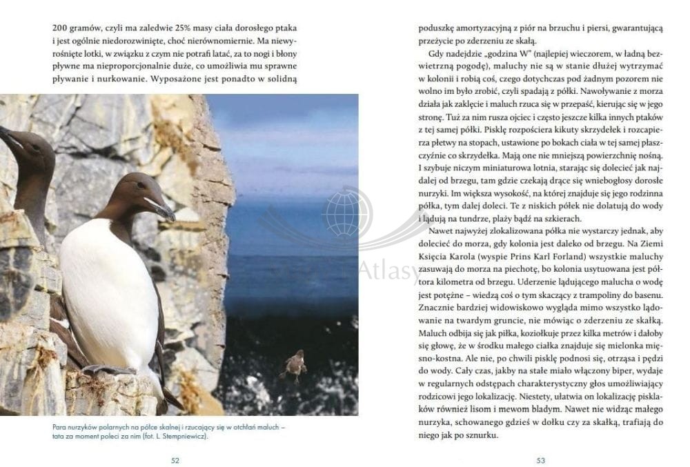 NA KRUCHYM LODZIE ARKTYKA STEMPNIEWICZ BEZDROŻA