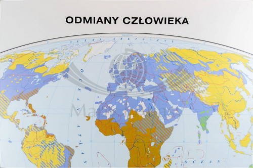 ŚWIAT MAPA ŚCIENNA LUDNOŚCI NOWA ERA