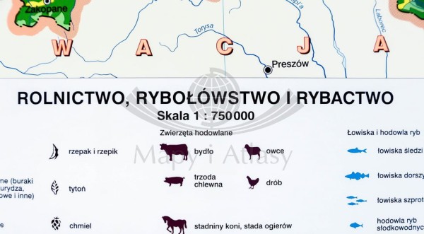 POLSKA MAPA ŚCIENNA ROLNICTWO I PRZEMYSŁ