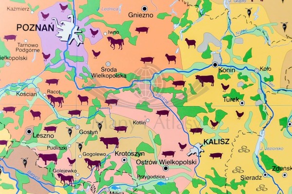 POLSKA MAPA ŚCIENNA ROLNICTWO I PRZEMYSŁ