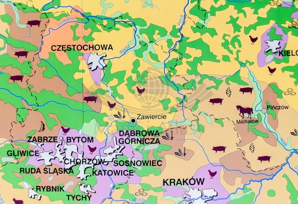 POLSKA MAPA ŚCIENNA ROLNICTWO I PRZEMYSŁ