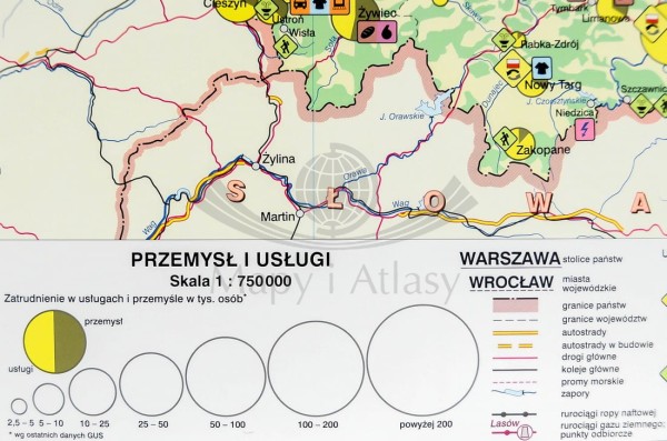POLSKA MAPA ŚCIENNA ROLNICTWO I PRZEMYSŁ