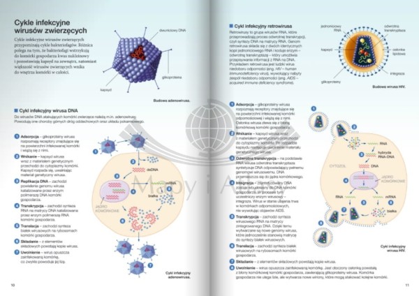 BIOLOGIA NA CZASIE 2 PODRĘCZNIK ZAKRES ROZSZERZONY