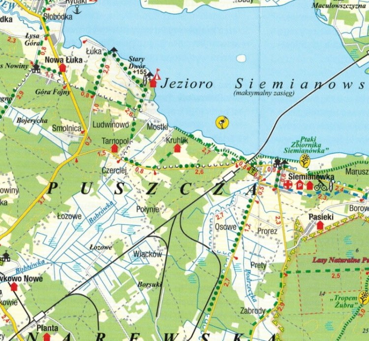 Puszcza Białowieska 1:92 000. Obiekt transgraniczny polsko-białoruski. Fragment 1