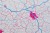 Polska 1:650 000. Mapa ścienna konturowa (administracyjna) wydawnictwa Meridian. Fragment 1