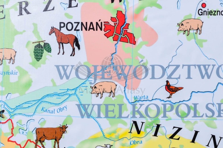 Polska 1:650 000. Rolnictwo w Polsce. Uprawy i struktura użytkowania ziemi. Mapa ścienna wydawnictwa Meridian. Fragment 3