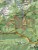 Pieniny i Gorce. Laminowana mapa turystyczna + Miniprzewodnik wydawnictwa ExpressMap. Fragment 3
