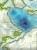 Jeziora Szczecineckie. Zestaw: 5 x mapa batymetryczna wydawnictwa EKO-MAP. Jezioro Komorze - fragment