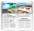 Wyspy Kanaryjskie 3 w 1. Teneryfa, La Gomera, El Hierro, La Palma, Gran Canaria, Fuerteventura, Lanzarote. Przewodnik, atlas i laminowana mapa wydawnictwa ExpressMap. Przykładowe strony 3