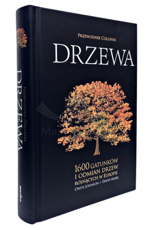 Drzewa. Przewodnik Collinsa. Okładka