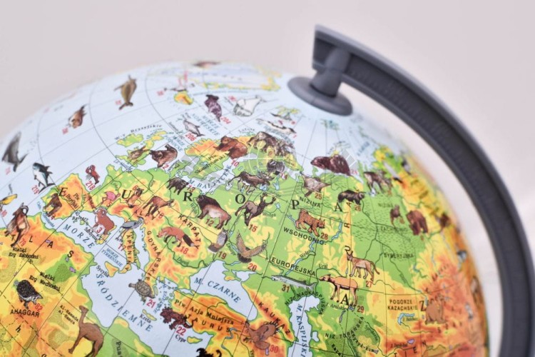 Globus zoologiczny 22 cm. Fragment 1