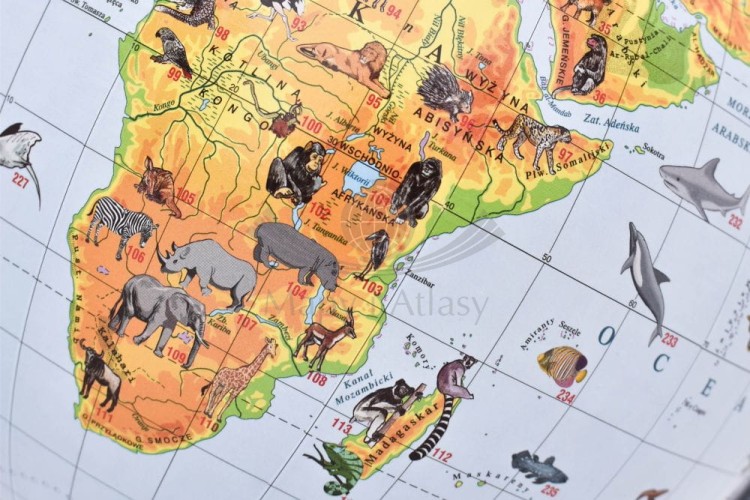 Globus zoologiczny 22 cm. Fragment 2