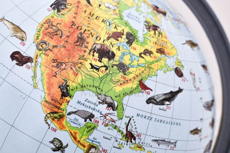 Globus zoologiczny 22 cm. Fragment 3