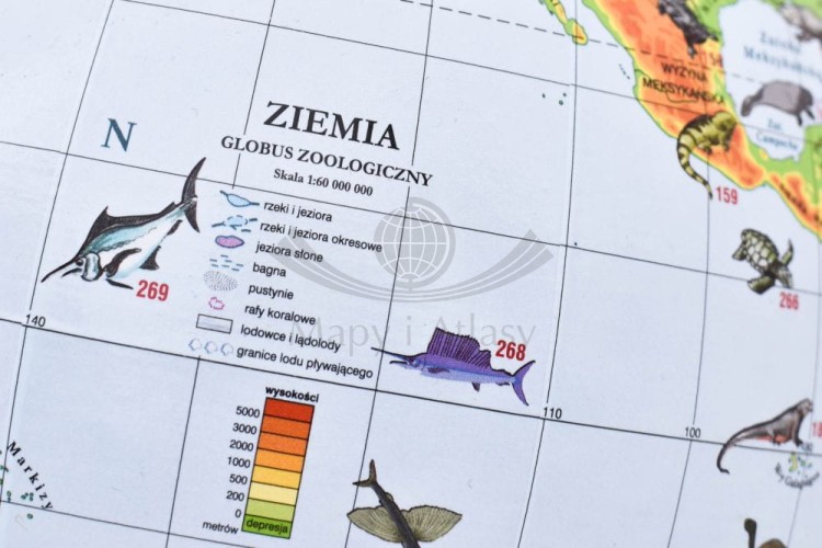 Globus zoologiczny 22 cm. Legenda