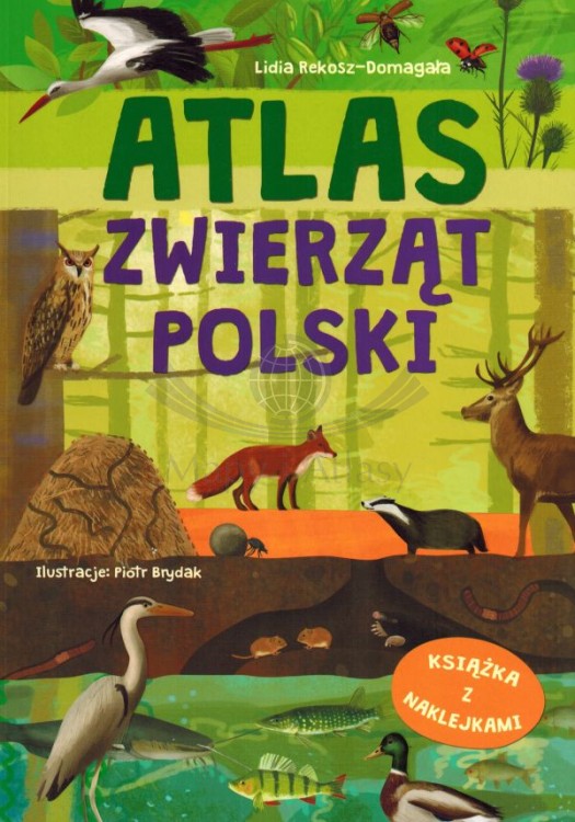 Atlas zwierząt Polski. Książka z naklejkami. Okładka