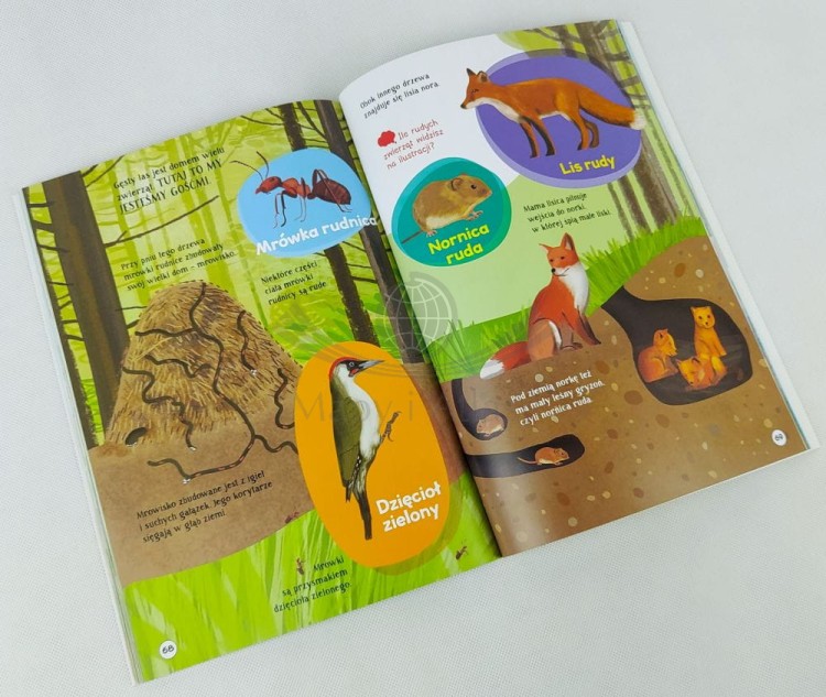 Atlas zwierząt Polski. Książka z naklejkami. Przykładowe strony 1