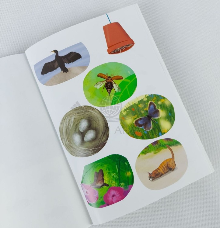 Atlas zwierząt Polski. Książka z naklejkami. Przykładowe naklejki 2