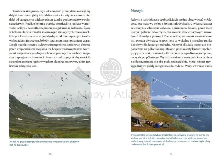 Na kruchym lodzie. Opowieść o Arktyce i zmianach klimatu. Lech Stempniewicz wydawnictwa Bezdroża. Przykładowe strony 2