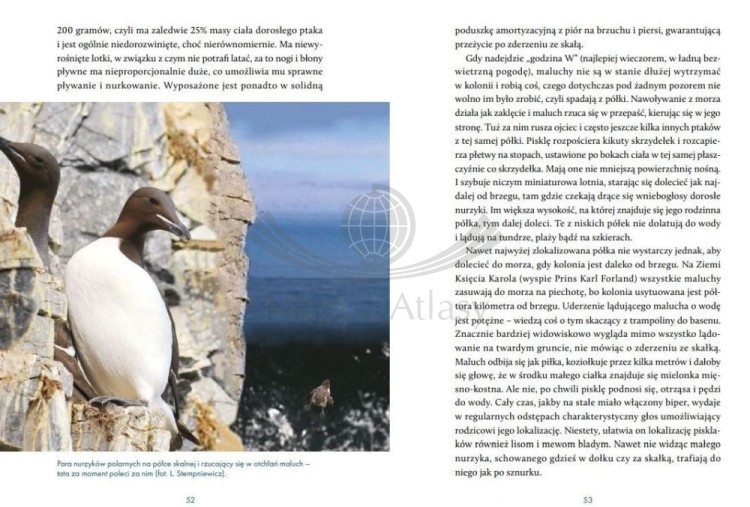 Na kruchym lodzie. Opowieść o Arktyce i zmianach klimatu. Lech Stempniewicz wydawnictwa Bezdroża. Przykładowe strony 3