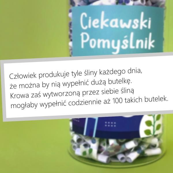 Ciekawski Pomyślnik - Junior