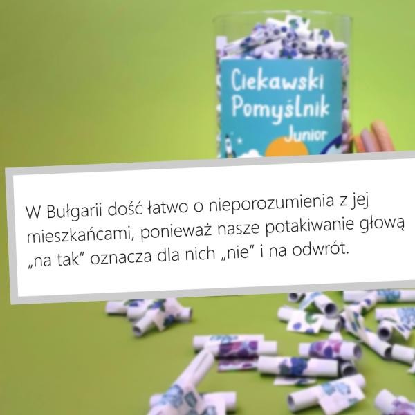 Ciekawski Pomyślnik - Junior