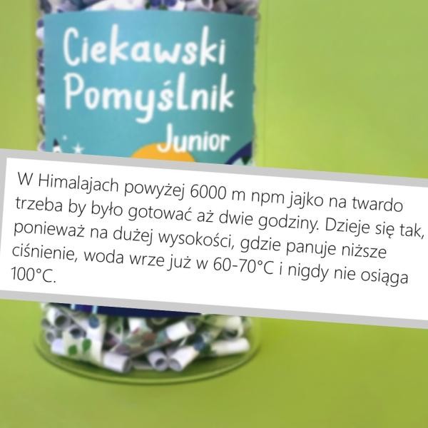 Ciekawski Pomyślnik - Junior