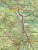 Góry i Pogórze Izerskie 1:50 000. Laminowana mapa turystyczna wydawnictwa Galileos. Fragment 2