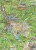 Solktaler, Rottenmanner Tauern, Seckauer Alpen 1:55 000. Mapa turystyczna 223 wydawnictwa Kompass. Mapa 2 - fragment 1