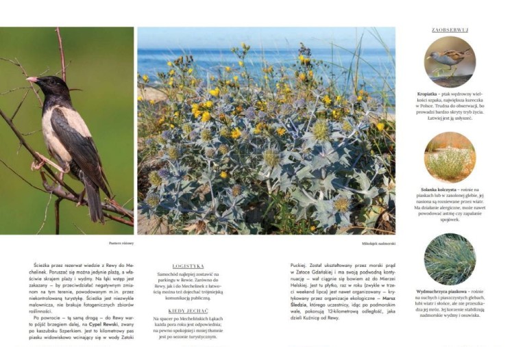 Dzika Polska, tam gdzie wciąż rządzi natura. Przewodnik wydawnictwa Bezdroża. Fragment 2