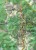 Beskid Sądecki. Laminowana mapa samochodowo-turystyczna wydawnictwa Demart. Fragment 1