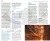 Jordania. Przewodnik travelbook wydawnictwa Bezdroża. Przykładowe strony 2