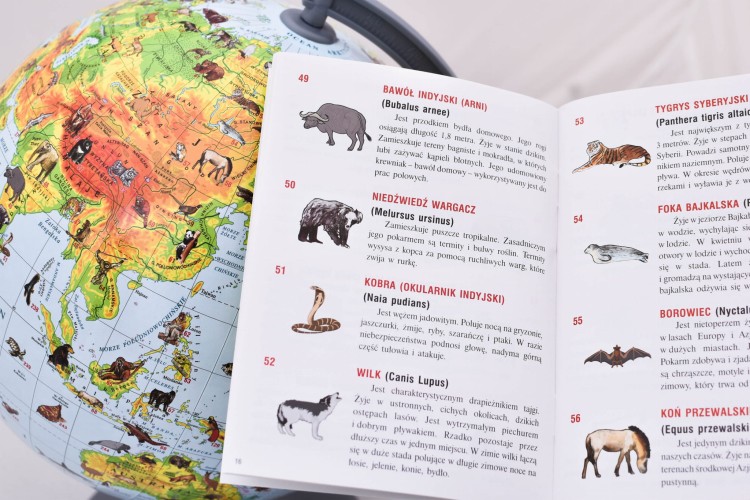 Globus zoologiczny 25 cm + książeczka + aplikacja. Podświetlany. Książeczka - przykładowe strony