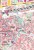 Eindhoven 1:20 000. Mapa / Plan miasta wydawnictwa Freytag & Bernd. Fragment 3