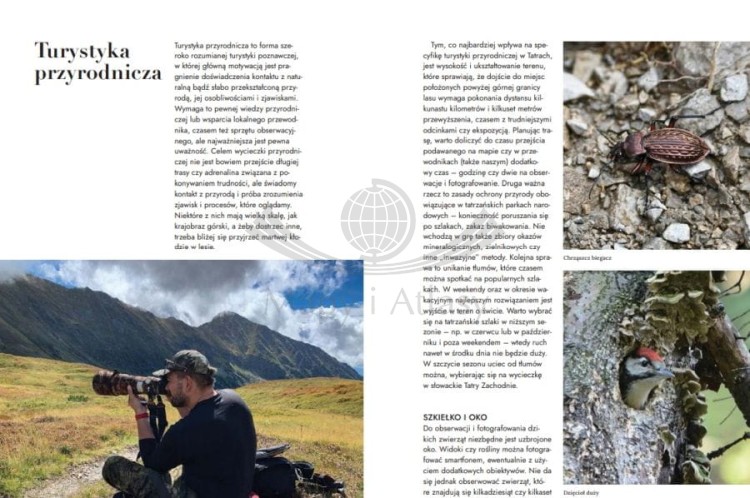 Dzikie Tatry. Poznaj prawdziwe oblicze tatrzańskiej przyrody. Przewodnik wydawnictwa Bezdroża. Przykładowe strony 1