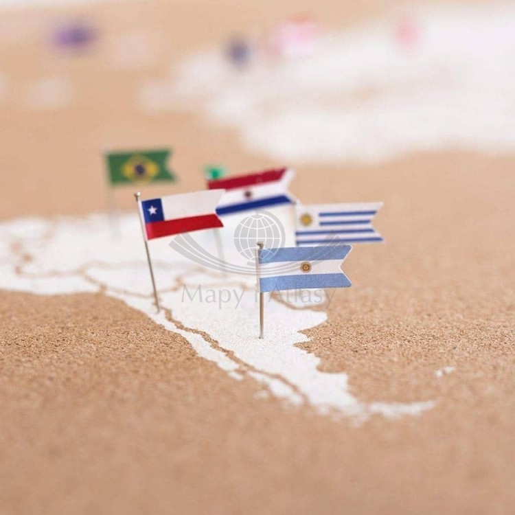 Szpilki- flagi do wpinania / World flag pins.  Miss Wood.