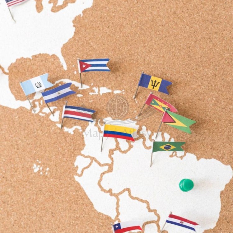 Szpilki- flagi do wpinania / World flag pins.  Miss Wood.