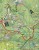 Beskid Mały 1:40 000. Laminowana mapa turystyczna wydawnictwa Compass. Fragment 1