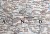 Europa Środkowa. Mapa ścienna. National Geographic. Fragment 7