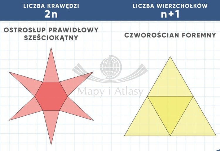 Własności brył. Ścienna plansza edukacyjna 160 x 120 wydawnictwa Meridian. Fragment