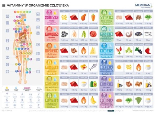 Witaminy w organizmie człowieka. Ścienna plansza edukacyjna wydawnictwa Meridian.