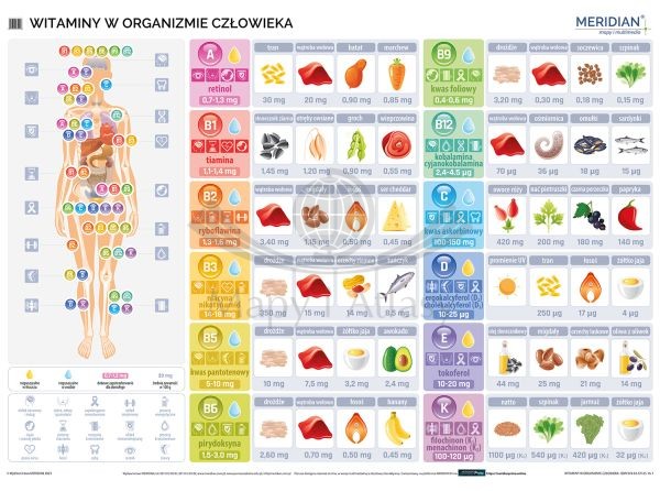 Witaminy w organizmie człowieka. Ścienna plansza edukacyjna wydawnictwa Meridian.