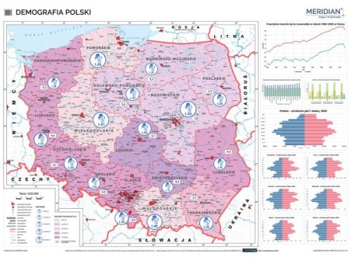 Polska 1:650 000. Demografia. Mapa ścienna wydawnictwa Meridian