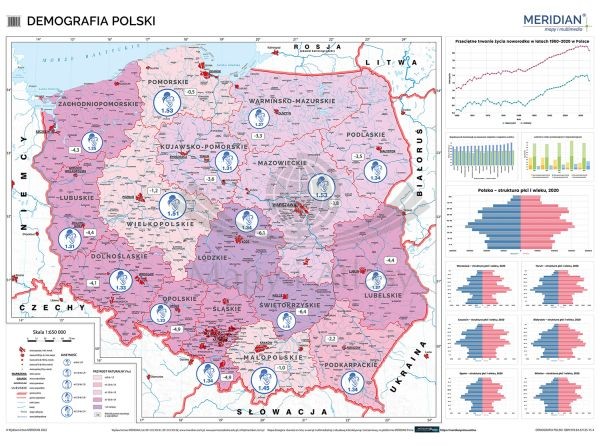 Polska 1:650 000. Demografia. Mapa ścienna wydawnictwa Meridian