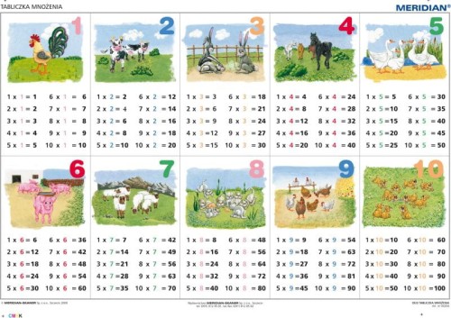 Tabliczka mnożenia. Ścienna plansza edukacyjna wydawnictwa Meridian