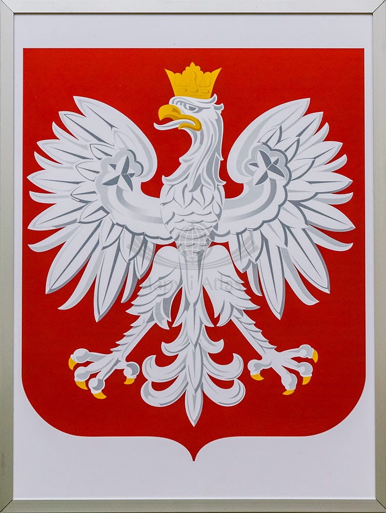 Godło Polski w ramie aluminiowej 30,5 x 40,5 cm