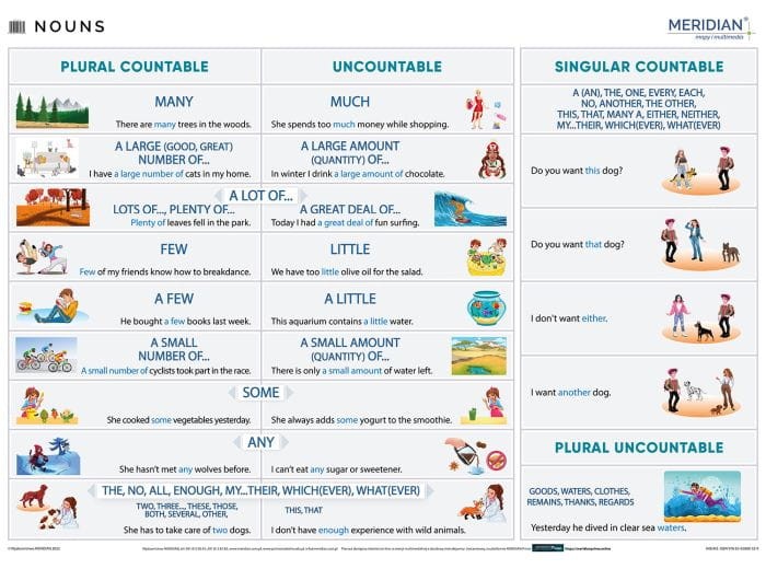 Język angielski - nouns. Ścienna plansza edukacyjna wydawnictwa Meridian.