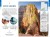 Park Narodowy Utah / Utah's National Parks. Przewodnik wydawnictwa Lonely Planet. Przykładowe strony 1