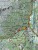 Valle Maggia Val Verzasca. Wodoodporna mapa turystyczna 110 wydawnictwa Kompass. Fragment 1