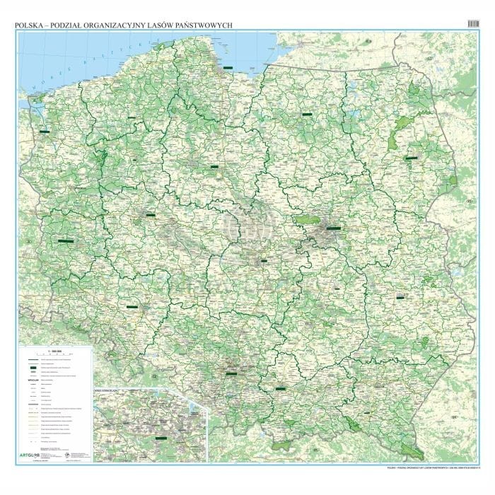 Polska 1:500 000. Arkusz, mapa ścienna. Podział organizacyjny lasów państwowych