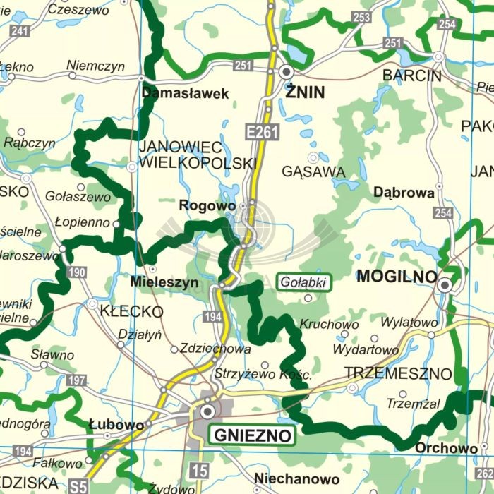 Polska 1:500 000. Podział organizacyjny lasów państwowych. Mapa. Wersja do wpinania wydawnictwa ArtGlob. Fragment 3